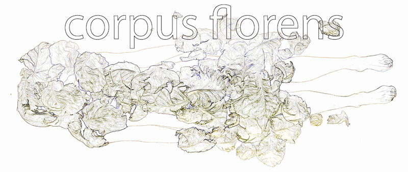 Crowdfunding Corpus Florens